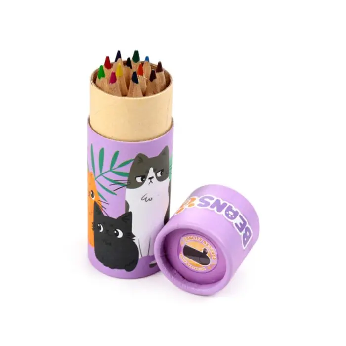 Mini Penalhus med 12 farveblyanter