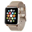 Mesh Bracelet Apple Watch Series 8 45mm Guld