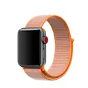 Nylonurrem Apple Watch SE 44mm Orange