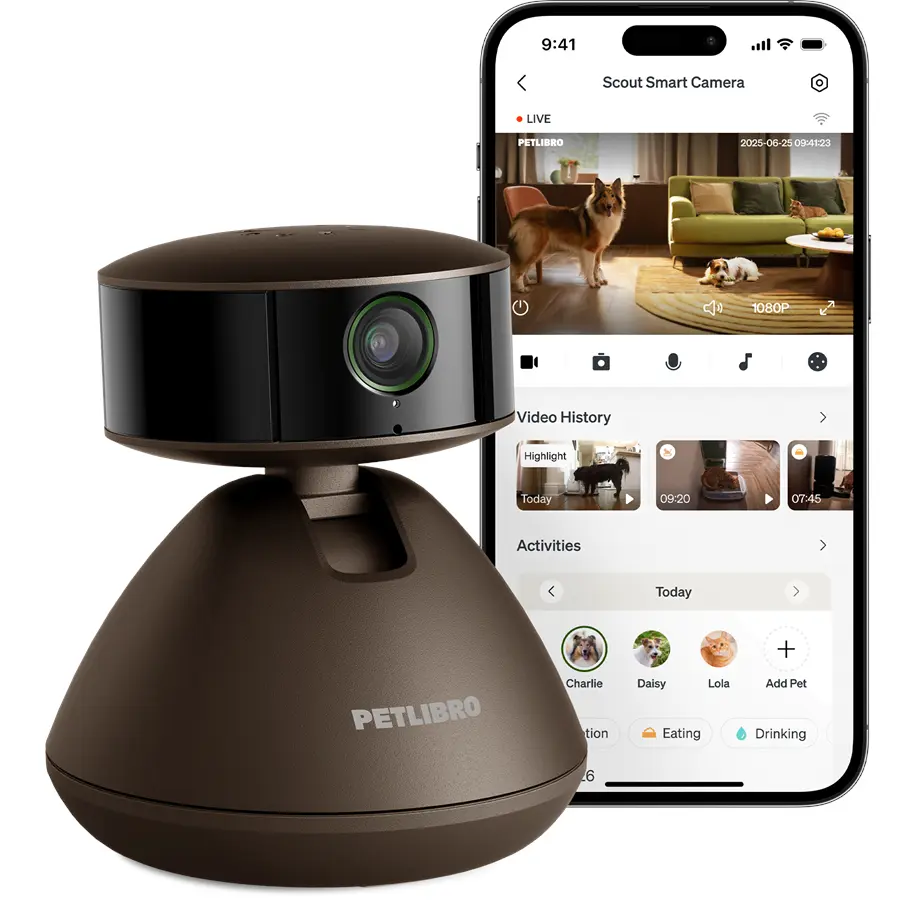 Scout Smart AI Kjæledyrskamera HD 1080p, Svart
