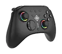 Trådlös Switch 2-handkontroll med RGB-belysning, C-knapp och makroknappar, Svart