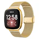 Mesh Bracelet Fitbit Versa 3/Sense Guld