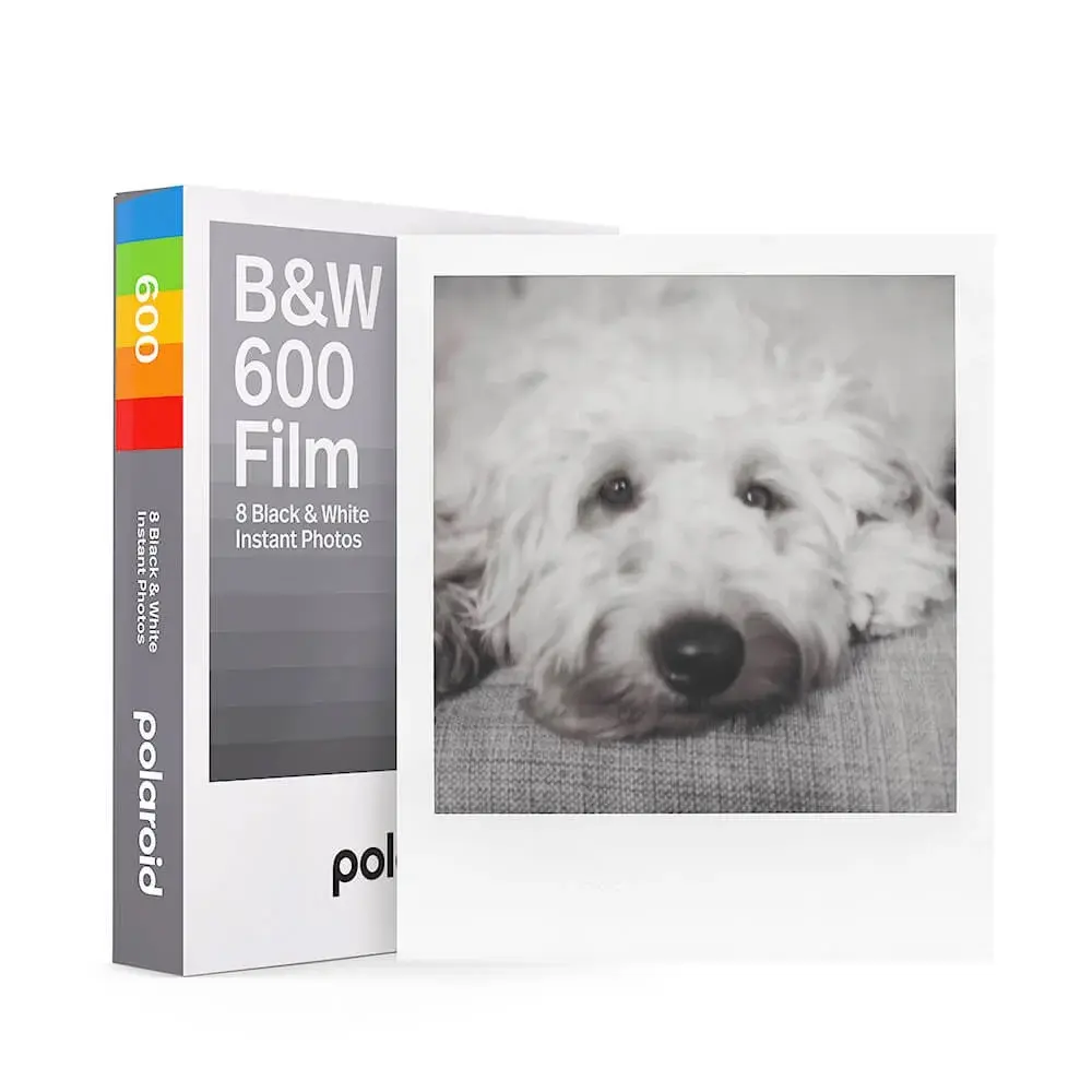 Svart-hvit instantfilm 600 med hvit ram