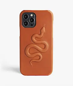 Skal iPhone 12/iPhone 12 Pro Snake Brun