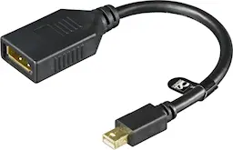 Mini DisplayPort til DisplayPort adapter Ultra HD 0.2m, Sort