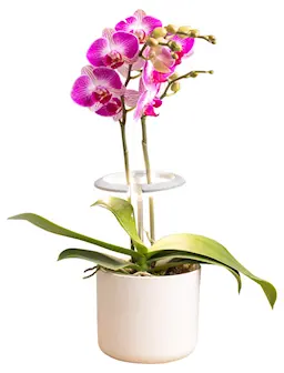 Rund LED-plantelampe med teleskopstang, Hvit